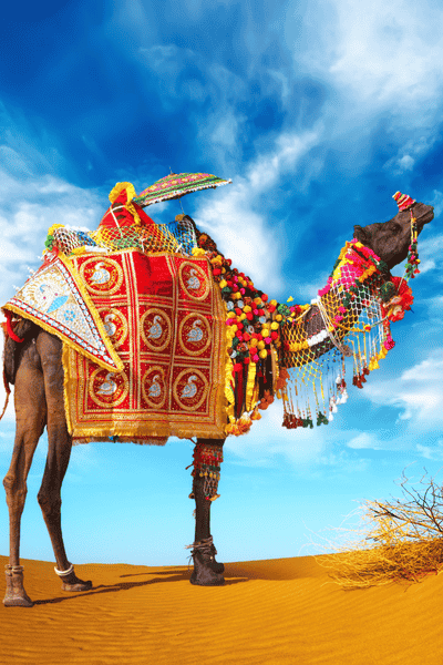 Mount Abu’s Must-See Attractions